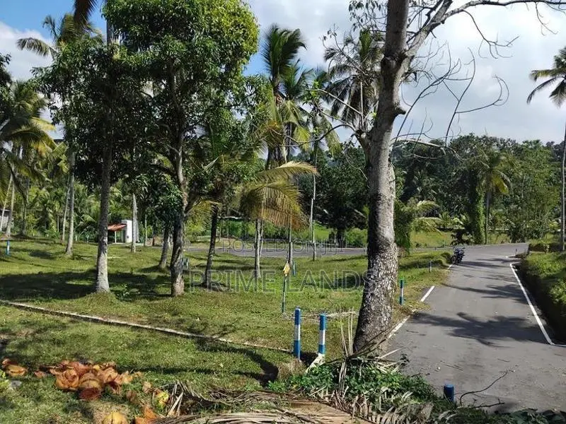 කලුතර නේවාසික බිම් කොටස්