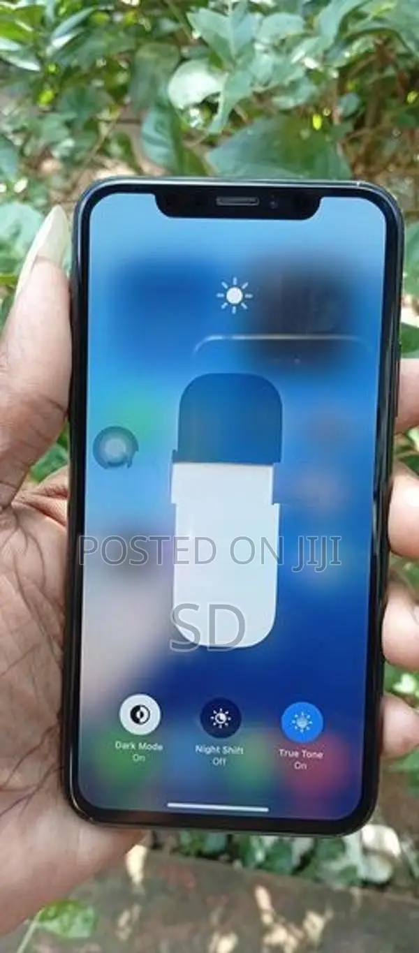Apple iPhone XS 256GB (Used)