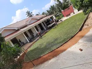 Interlock Bricks and Malaysian Grass Carpet