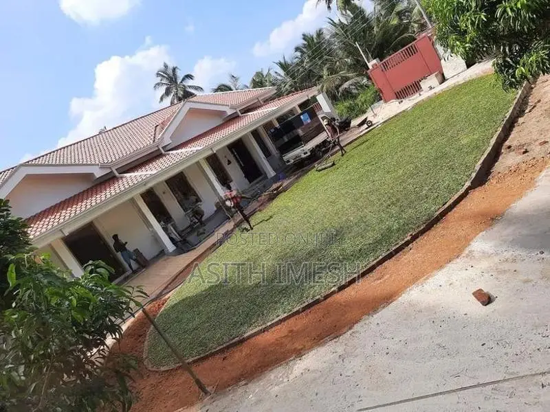 Interlock Bricks and Malaysian Grass Carpet