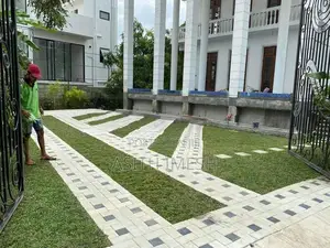Interlock Bricks and Malaysian Grass Carpet