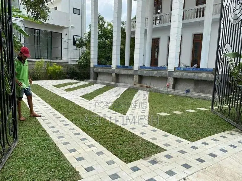 Interlock Bricks and Malaysian Grass Carpet