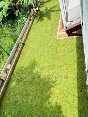 Interlock Bricks and Malaysian Grass Carpet