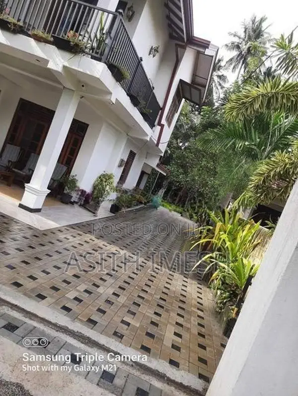 Interlock Bricks and Malaysian Grass Carpet