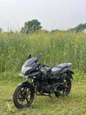 Bajaj Pulsar 220F 2010