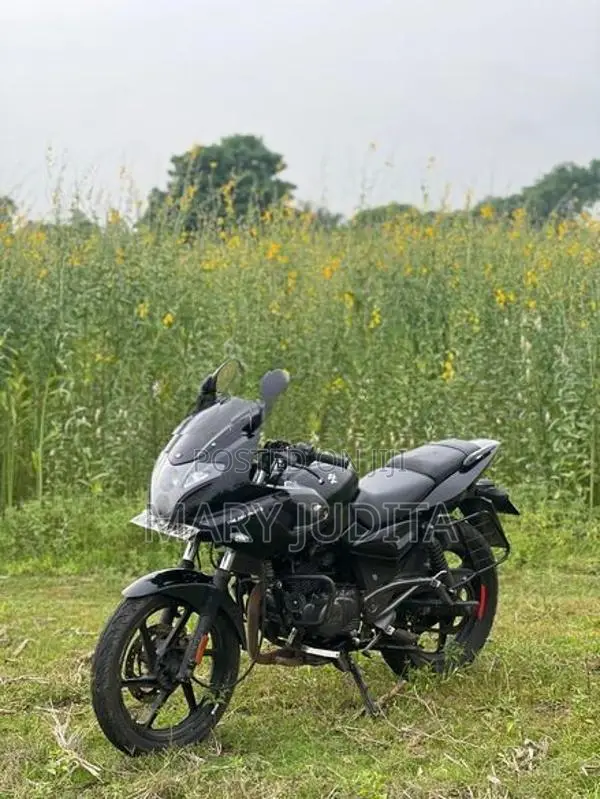 Bajaj Pulsar 220F 2010