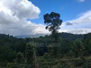 Land for Sale in Kandy Pilimatalawa