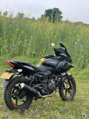 Bajaj Pulsar 220F 2010