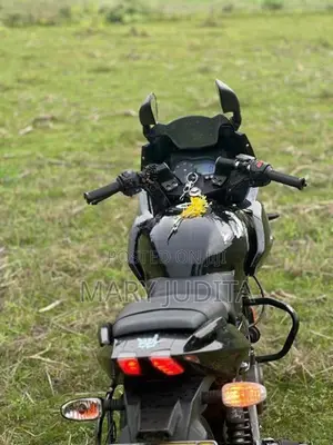 Bajaj Pulsar 220F 2010