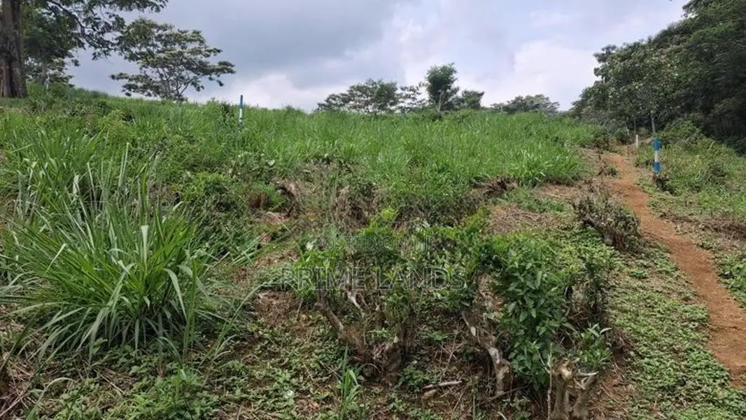 Valuable Land for Sale in Pussellawa