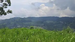 Valuable Land for Sale in Pussellawa