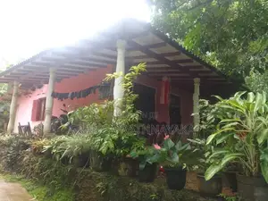 නිවස සමඟ ඉඩම විකිණීමට - අවිස්සාවේල්ල