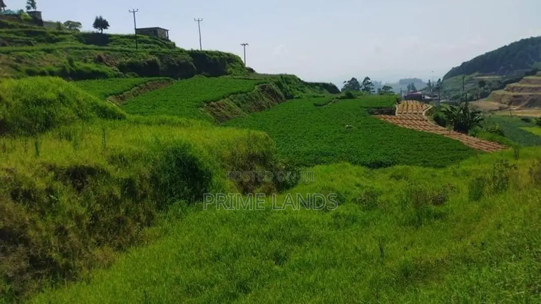 Commercial Land for Sale in Nuwaraeliya Abewela