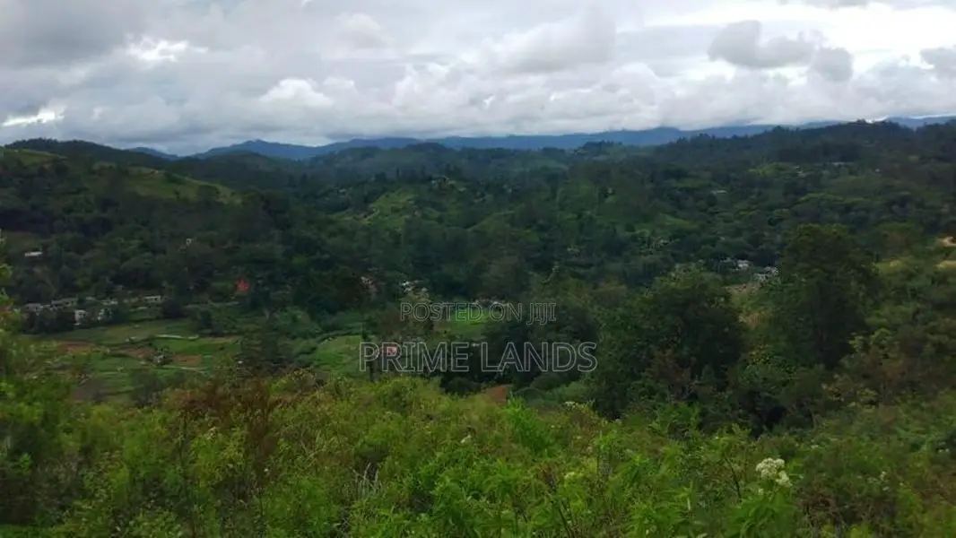 Land for Sale in Bandarawela Kontehela