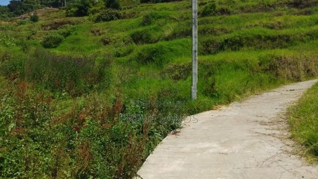 Commercial Land for Sale in Nuwaraeliya Abewela