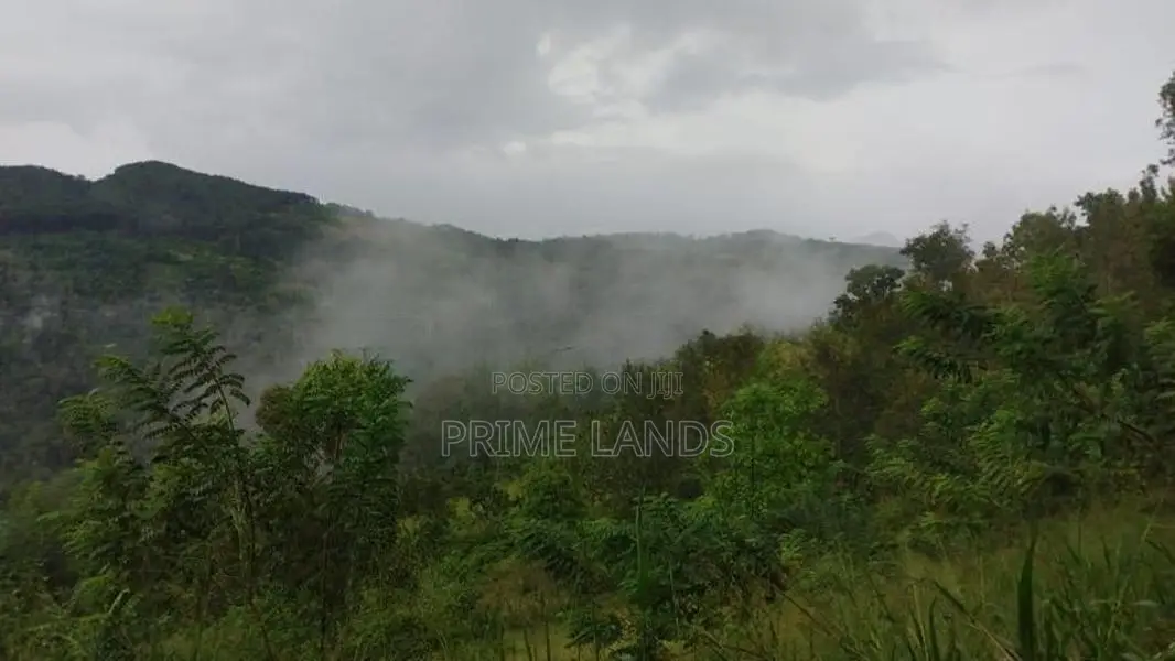 Land for Sale in Bandarawela Kontehela