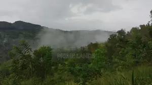 Land for Sale in Bandarawela Kontehela