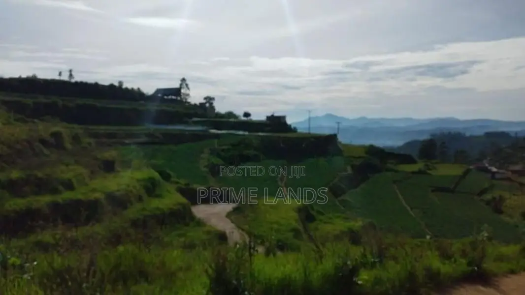 Commercial Land for Sale in Nuwaraeliya Abewela
