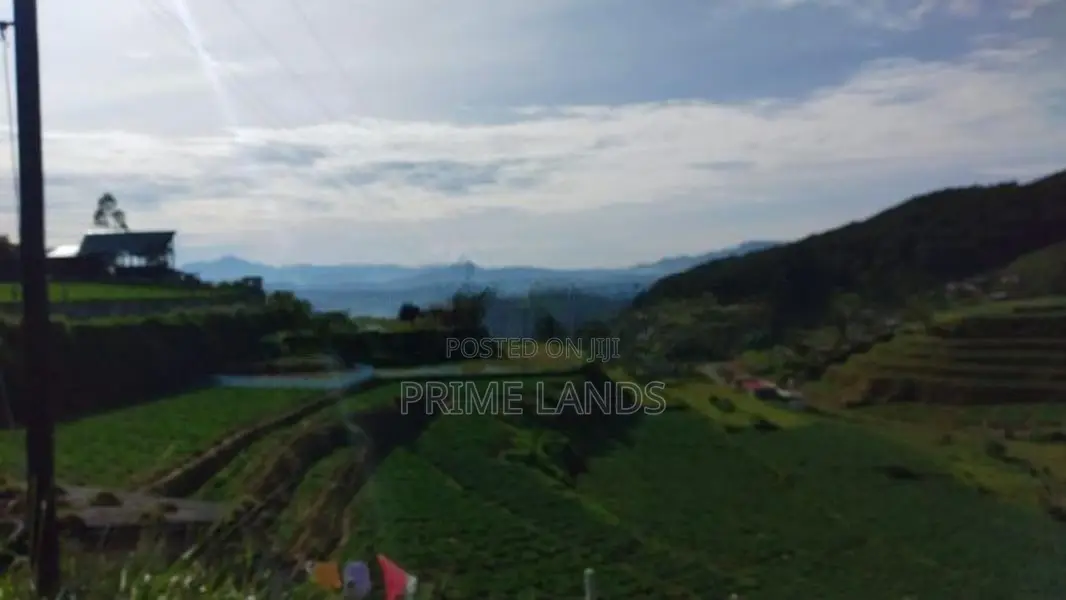Commercial Land for Sale in Nuwaraeliya Abewela