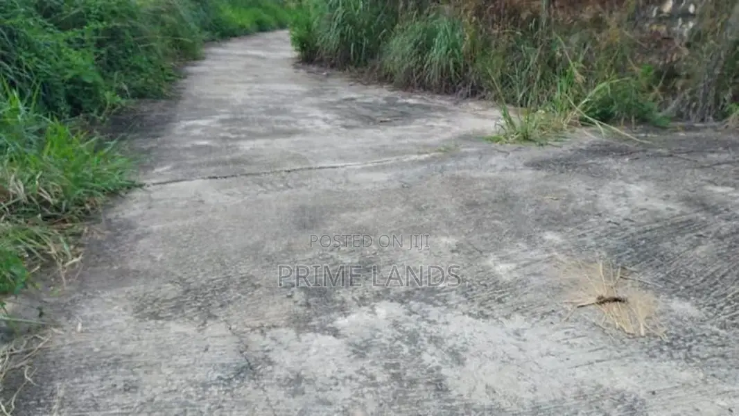 Land for Sale in Bandarawela Kontehela