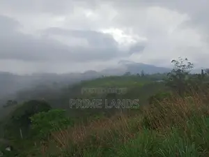 Land for Sale in Kandy Nillabe