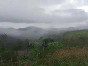 Land for Sale in Kandy Nillabe