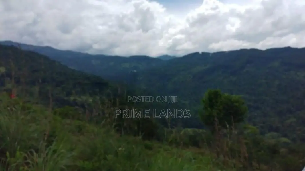Land for Sale in Kandy Nillabe