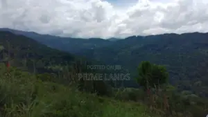 Land for Sale in Kandy Nillabe