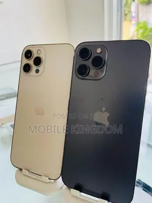 Apple iPhone 12 Pro Max 256GB (Used)