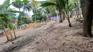 Land for Sale - Near Batticaloa Town, Periyauppodai