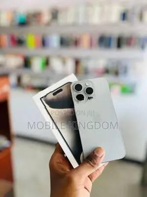 Apple iPhone 15 Pro Max 256GB (Used)
