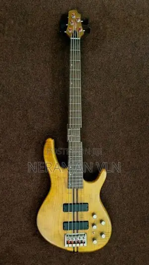 Cort 5 Strings Bass Guitar
