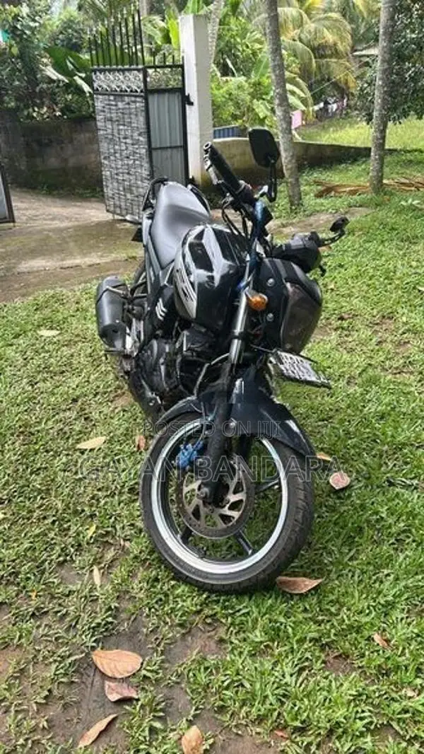 Yamaha FZ 1 2013