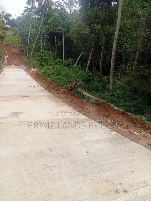 Beautiful Land In Gelioya (pethiyagoda)