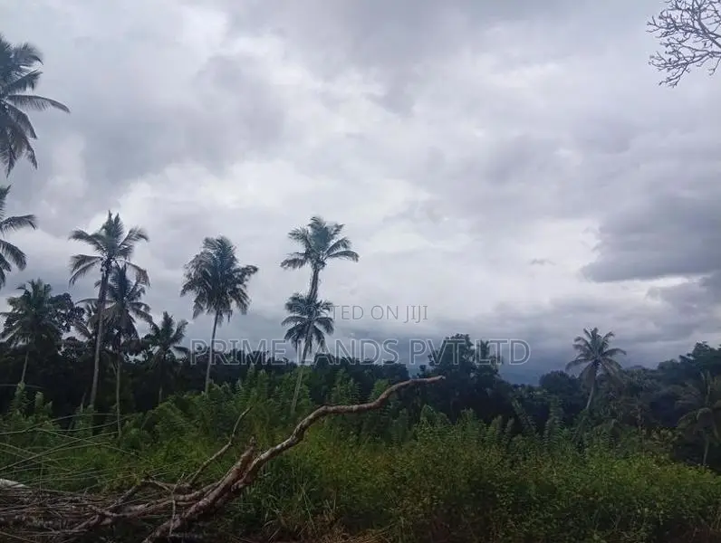 Beautiful Land In Gelioya (pethiyagoda)