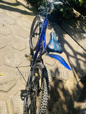 DSI Bicycle