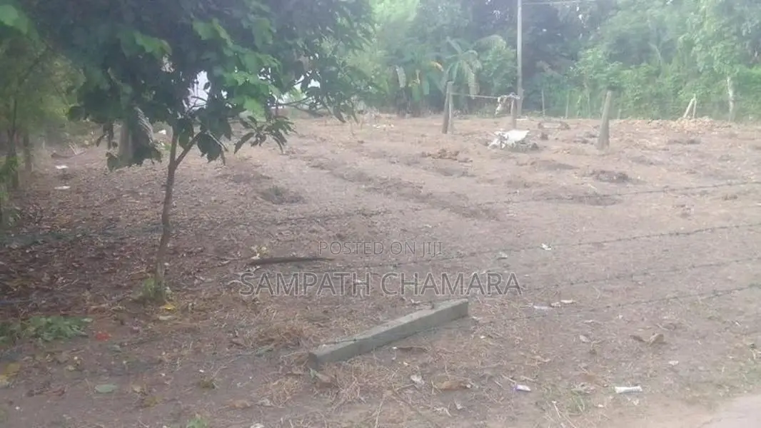 Bare Land for Sale Gampaha