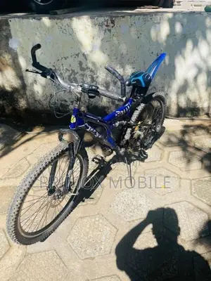 DSI Bicycle