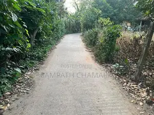 Bare Land for Sale Gampaha
