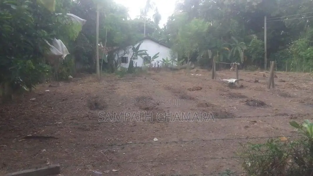 Bare Land for Sale Gampaha