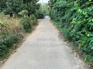 Bare Land for Sale Gampaha