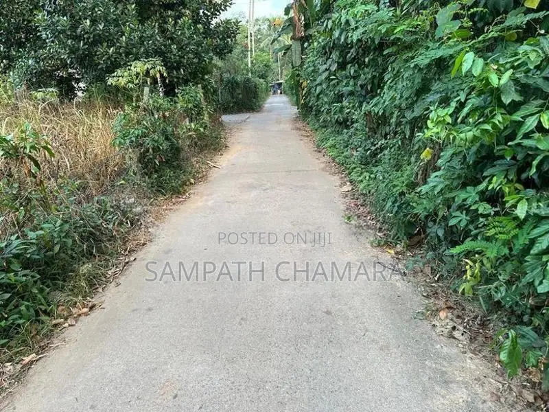 Bare Land for Sale Gampaha