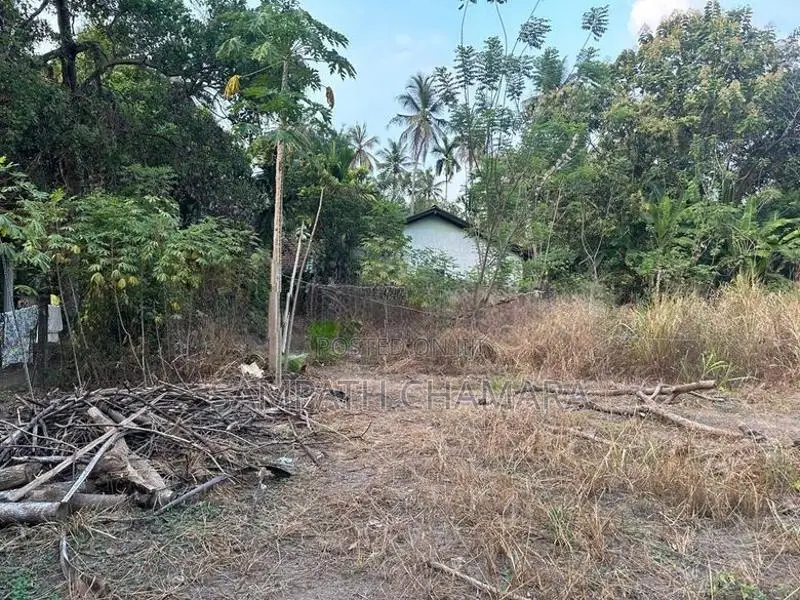 Bare Land for Sale Gampaha