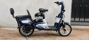 E Bike 2024