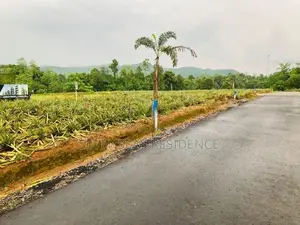 අපදාවලින් තොර නිස්කලංක සුපිරි ඉඩමක් ඇහැලියගොඩින්