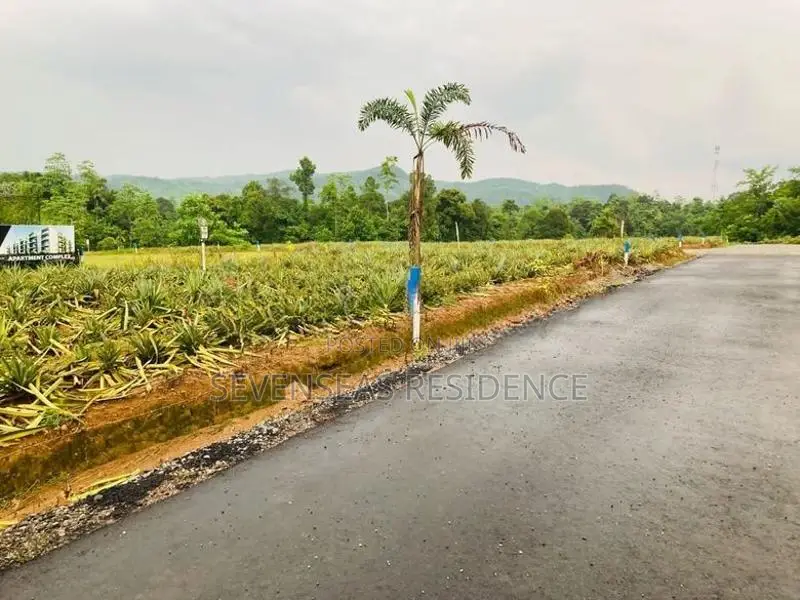 අපදාවලින් තොර නිස්කලංක සුපිරි ඉඩමක් ඇහැලියගොඩින්
