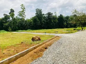 අපදාවලින් තොර නිස්කලංක සුපිරි ඉඩමක් ඇහැලියගොඩින්