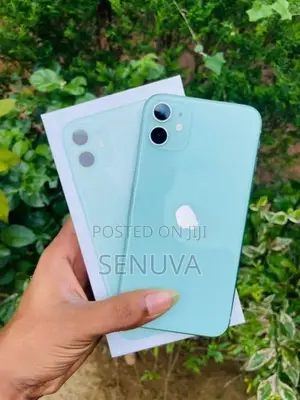 Apple iPhone 11 (Used)