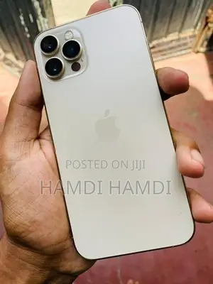 Apple iPhone 12 Pro (Used)