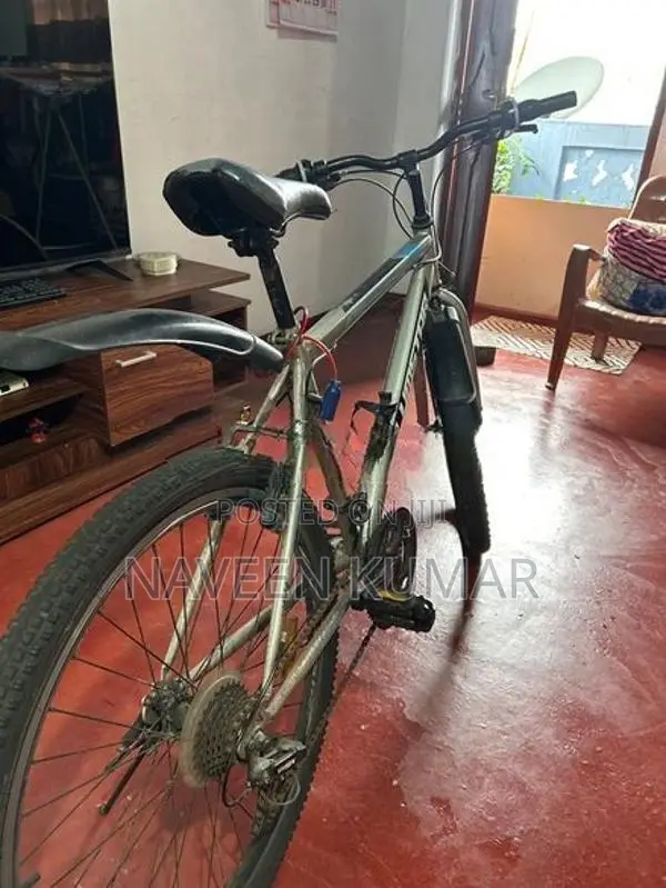 Mountain Bike